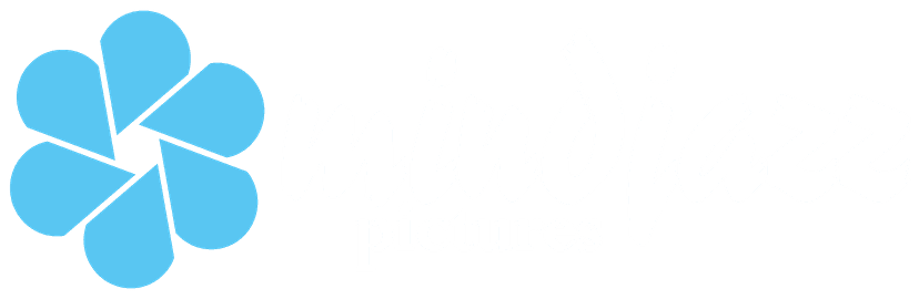 Mindjazz Pictures Logo