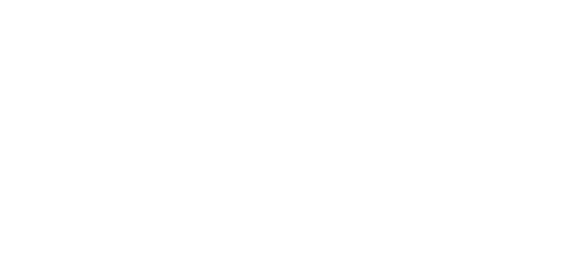 Kino Solothurn Logo