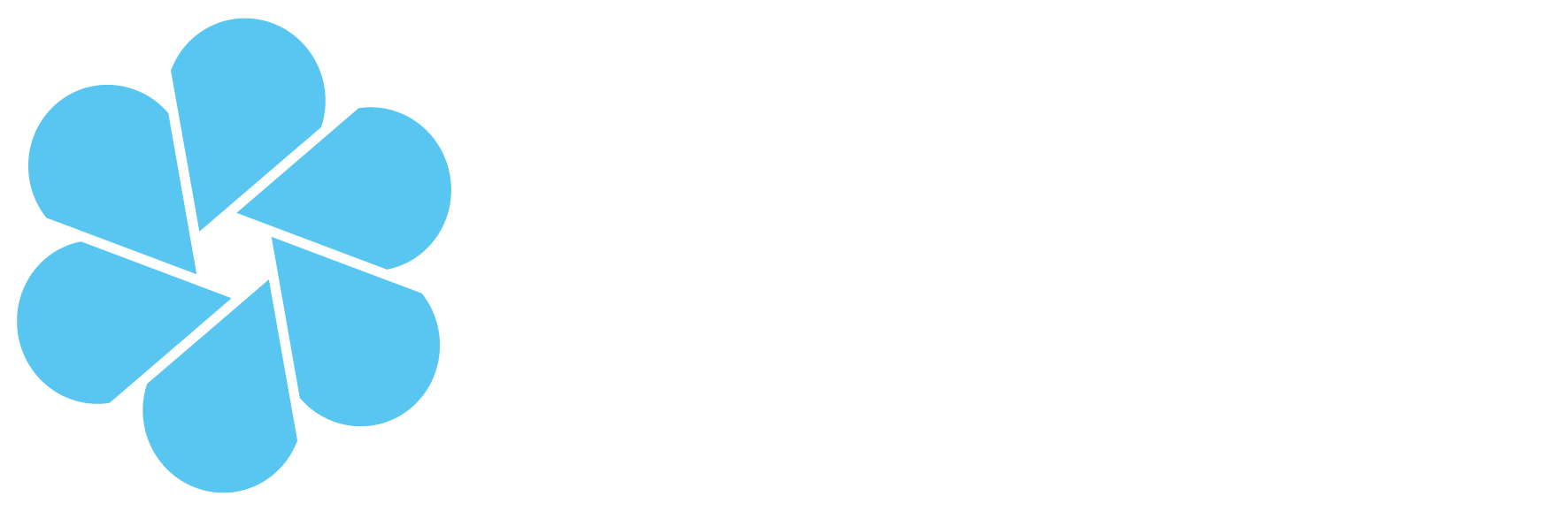 Mindjazz Pictures Logo